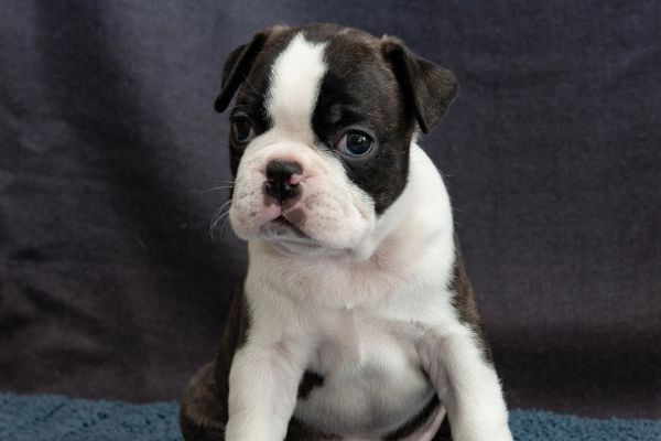 sedgrok1tjc71489D23-C5D7-432A-D5F3-44EC6697FAA2.jpg